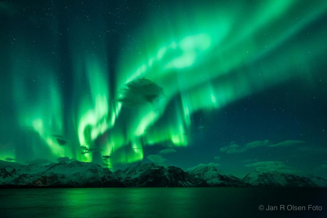 Lyngenfjord, Froyas Hus Villa Olderdalen Buitenkant foto
